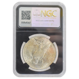 1923 Peace Dollar BU Original Bag Fragment NGC