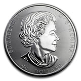 2017 Canada 10 oz Silver $50 Magnificent Maple Leaves BU