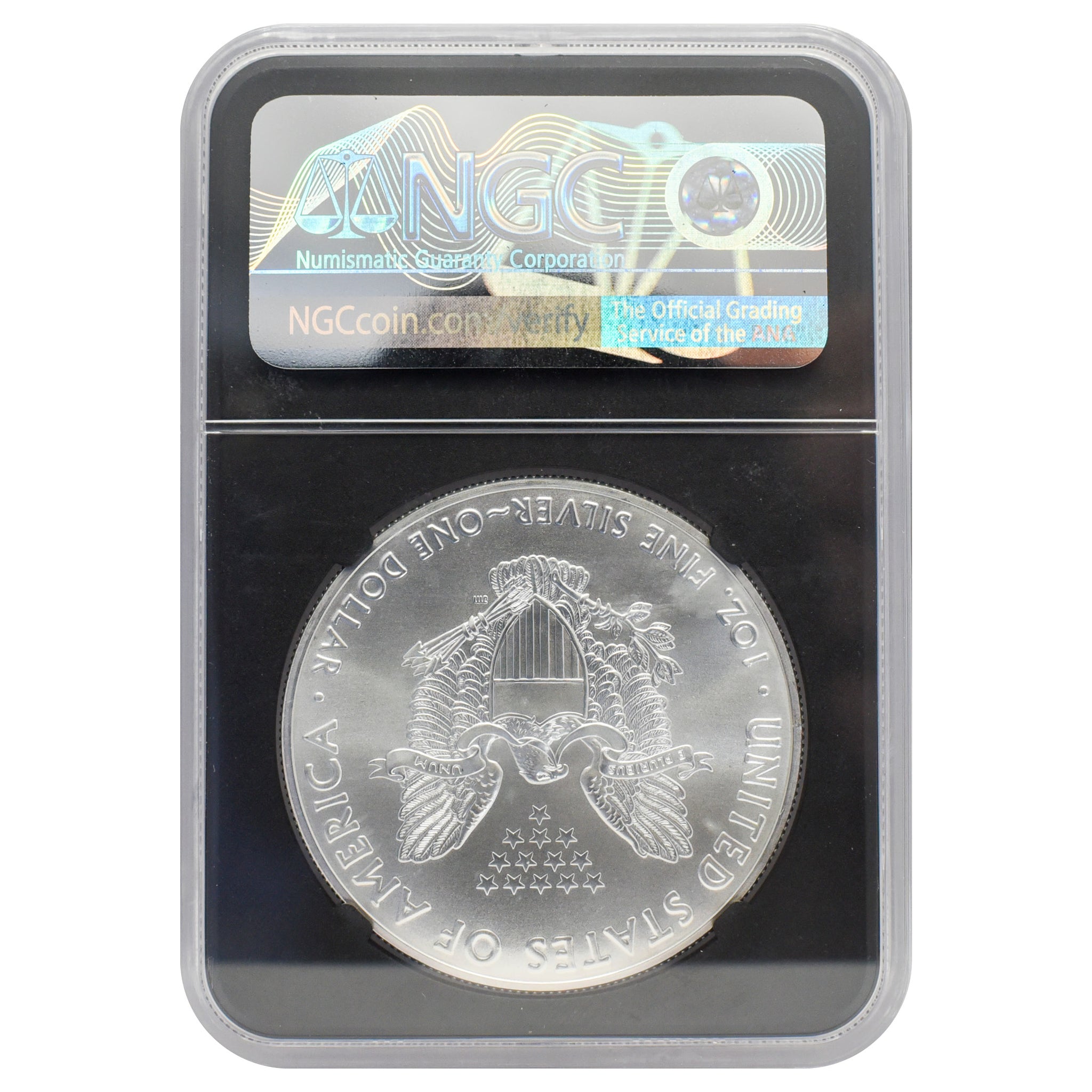2020-S Silver Eagle MS70 2020-S Silver Eagle MS70