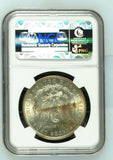1887 $1 Morgan Silver Dollar MS63 Music City Collection NGC - Beautiful Toning