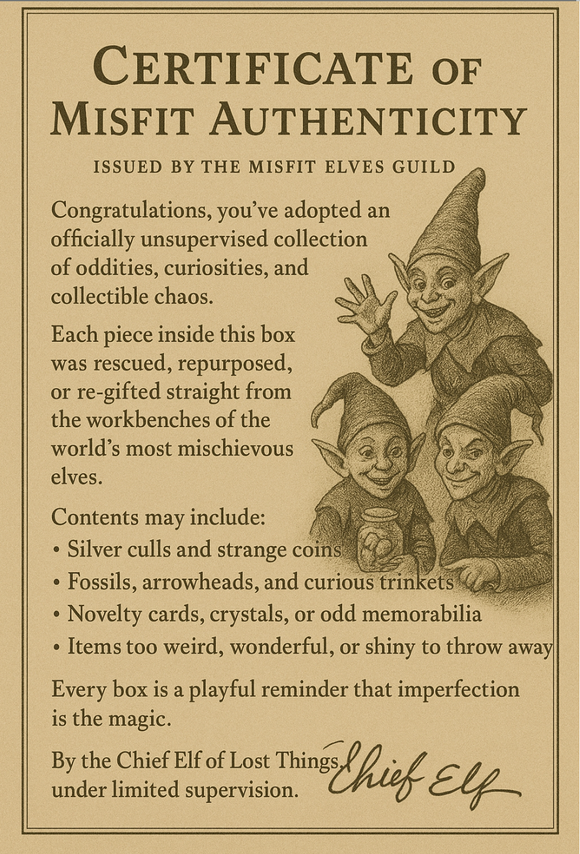 Holiday Mystery Box - Misfit Elves