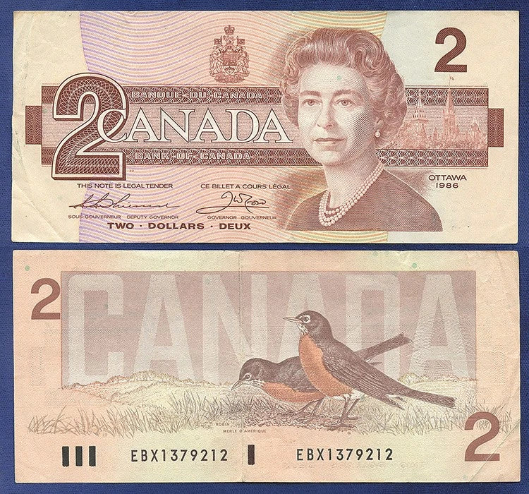 Foreign Currency – CCI