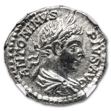 Roman Empire AR Denarius Ancient Silver Coins - Random Design
