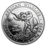 Random Year African Wildlife Somalia Elephant BU