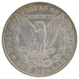 1904 Morgan Dollar XF (Cleaned)